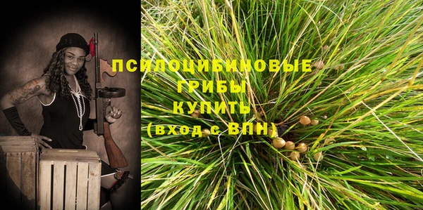 твердый Абаза