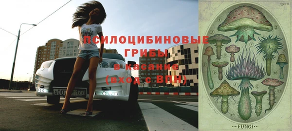 твердый Абаза