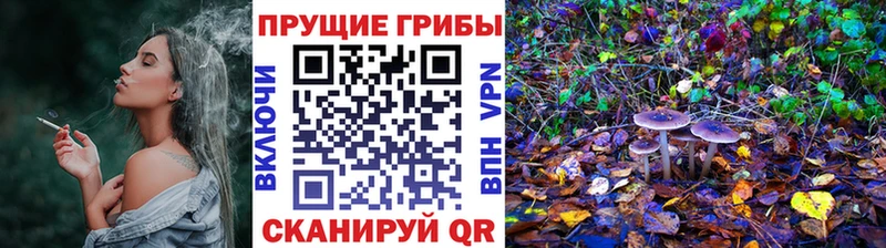 даркнет какой сайт  Шилка  Псилоцибиновые грибы MAGIC MUSHROOMS  наркота 